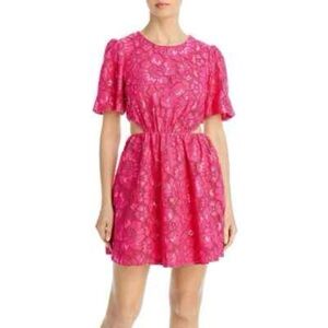 Wayf Fuchsia Lace Mini Dress
